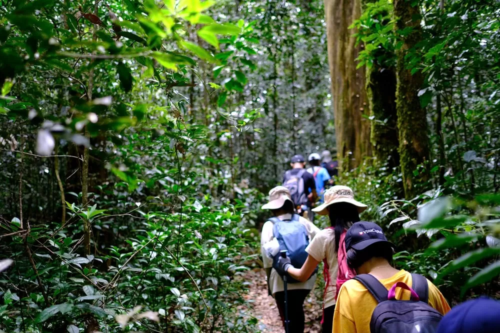 Vườn Quốc gia Bidoup - Núi Bà, điểm du lịch sinh thái rừng không thể bỏ qua trên Cao nguyên Lang Biang, Lâm Đồng