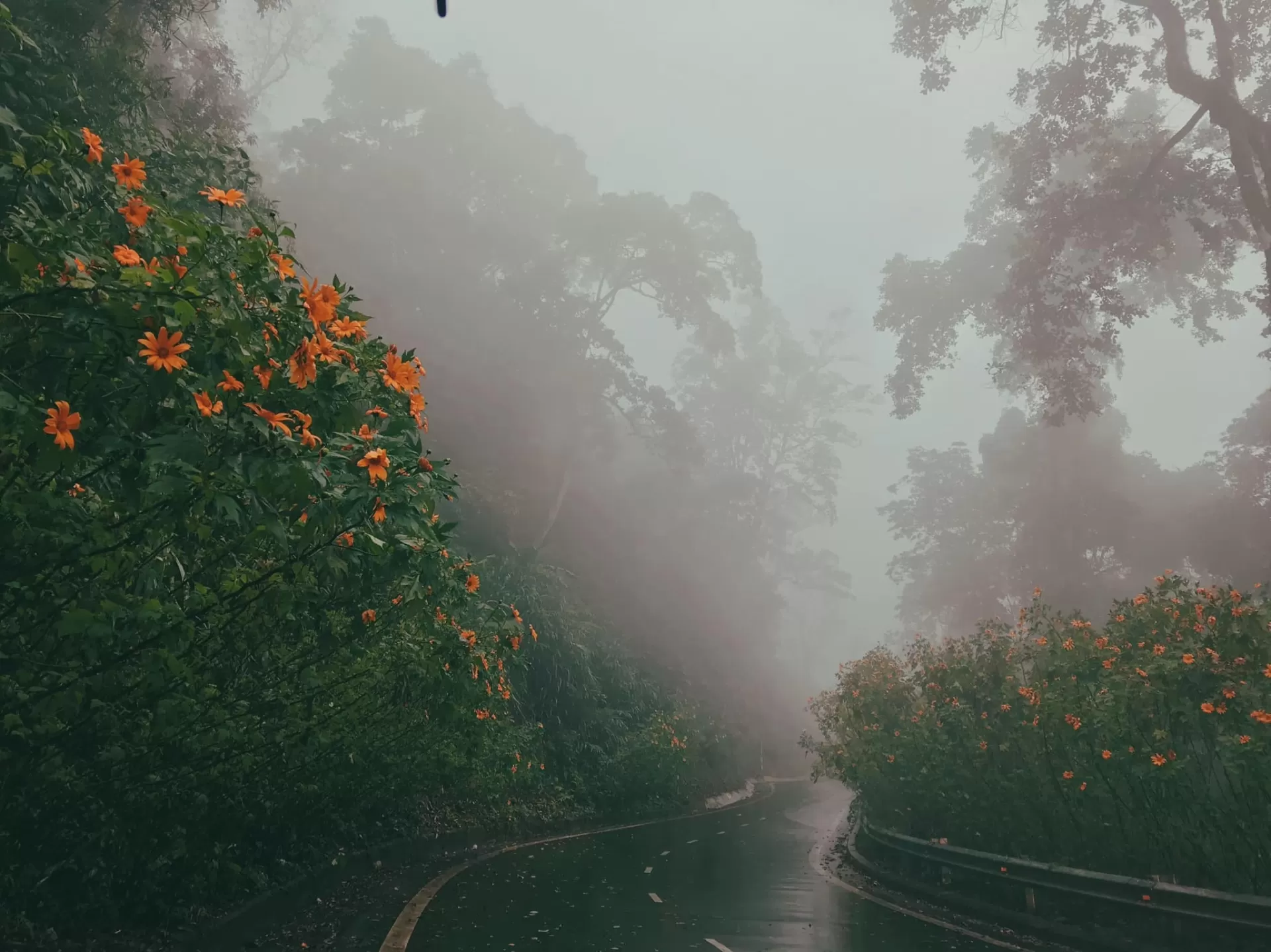 HANOI JEEP TOUR BA VI NATIONAL PARK - DUONG LAM ANCIENT VILLAGE  1 DAY