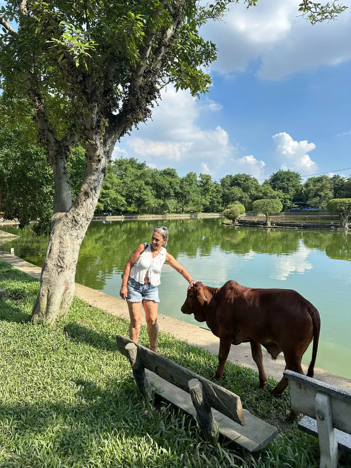 HANOI JEEP COUNTRYSIDE TOUR - CO LOA CITEADEL