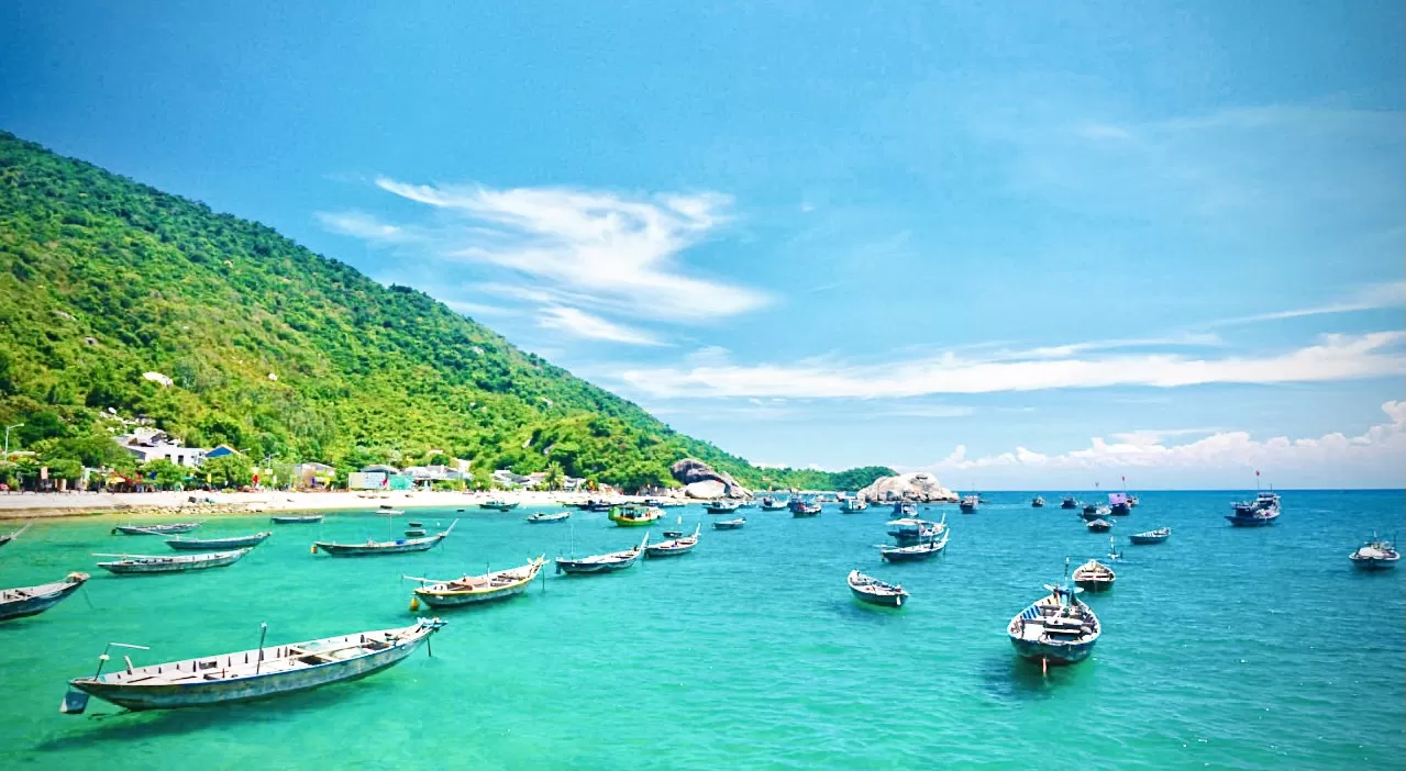 CHAM ISLAND 1 DAY TOUR