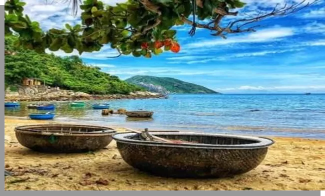 CHAM ISLAND 1 DAY TOUR