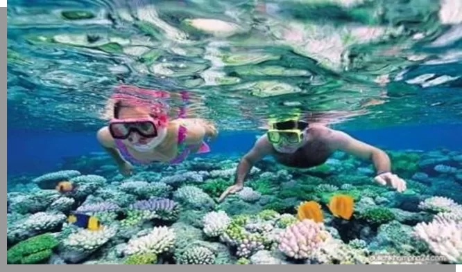 CHAM ISLAND 1 DAY TOUR