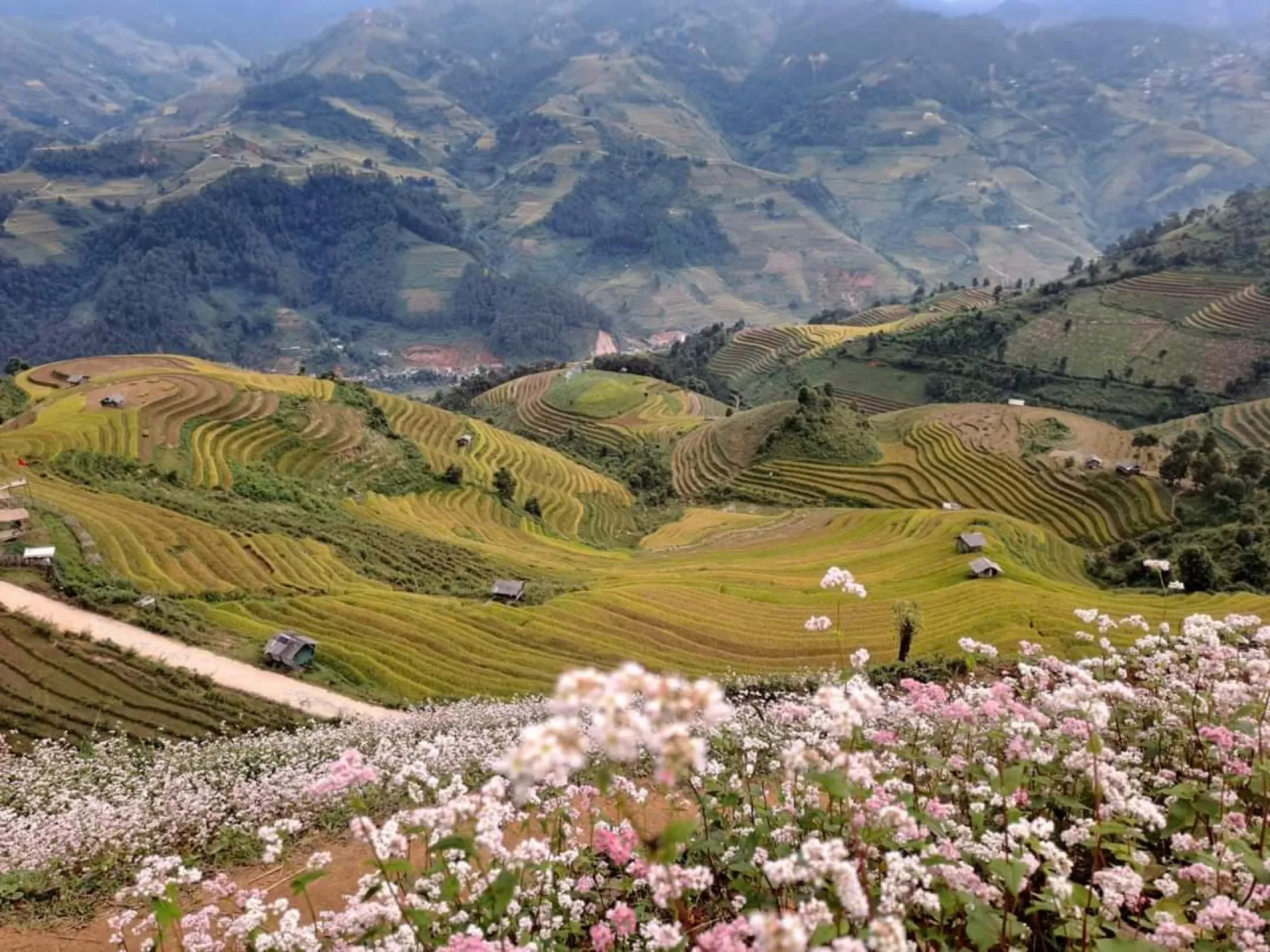 MU CANG CHAI 1 DAY 2 NIGHTS - OVERNIGHT IN HOMESTAY