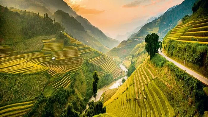 MU CANG CHAI 1 DAY 2 NIGHTS - OVERNIGHT IN HOMESTAY