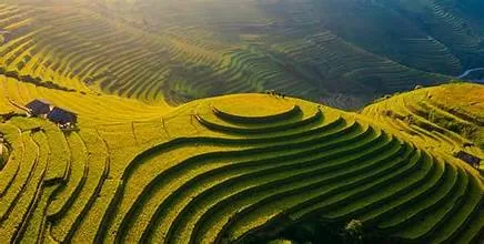 MU CANG CHAI 2 DAYS 3 NIGHTS - OVERNIGHT IN HOMESTAY