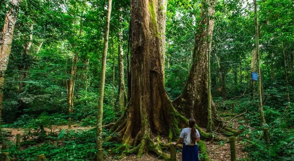 VAN LONG WETLAND RESERVE - CUC PHUONG NATIONAL PARK - 1 DAY TRIP
