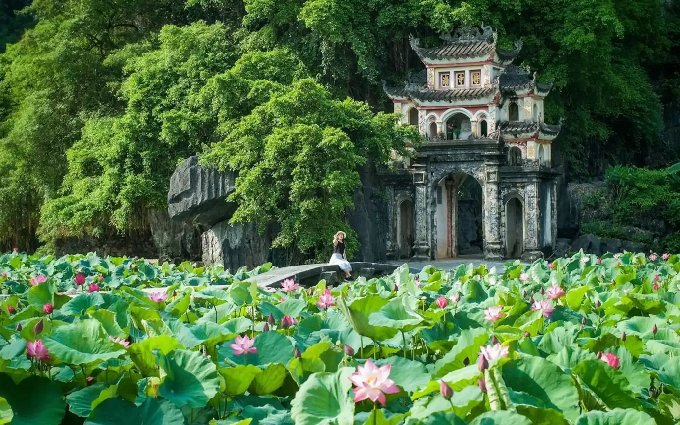 HOA LU - TAM COC - MUA CAVE - BICH DONG - 1 DAY TRIP