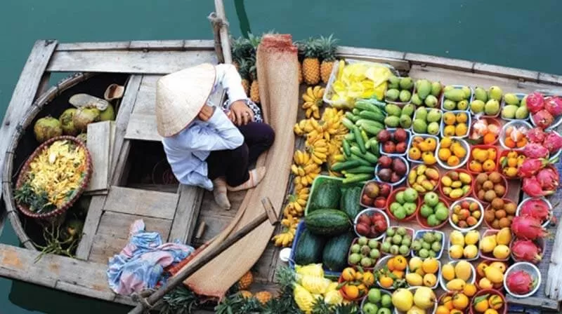MEKONG DELTA 2 DAYS 1 NIGHT TRIP FROM HO CHI MINH CITY