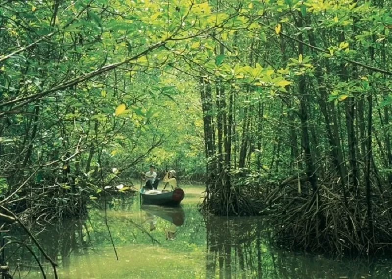 CAN GIO - MONKEY ISLAND FULL-DAY TOUR