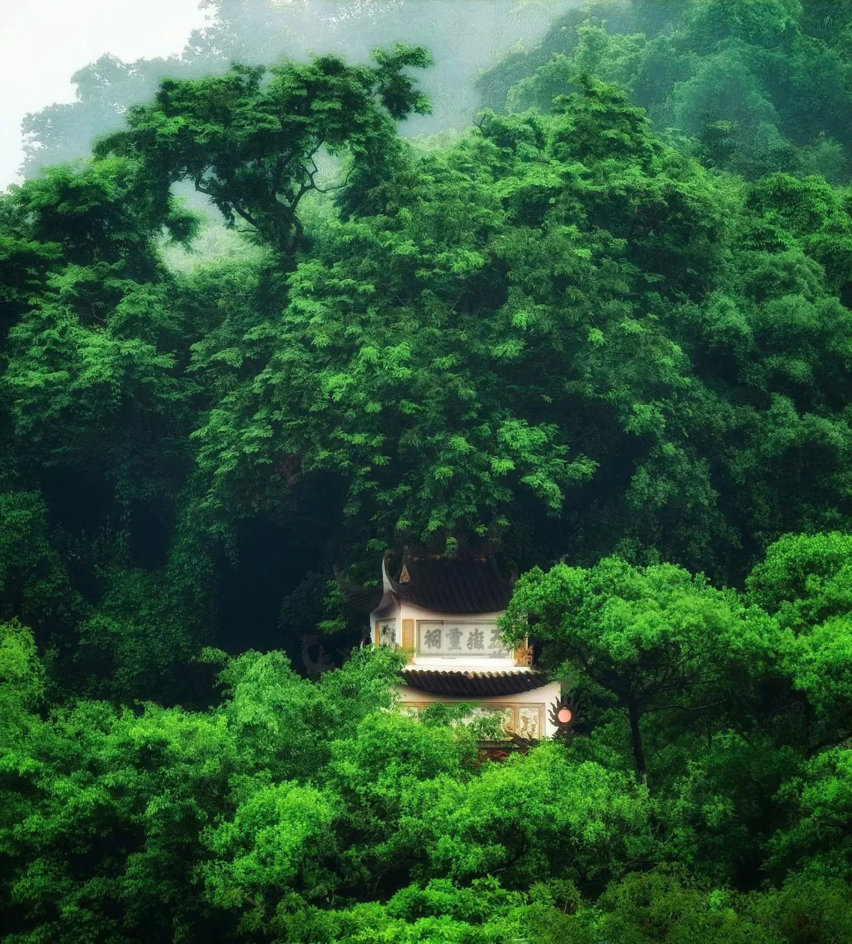 HUONG PAGODA 1 DAY TOUR