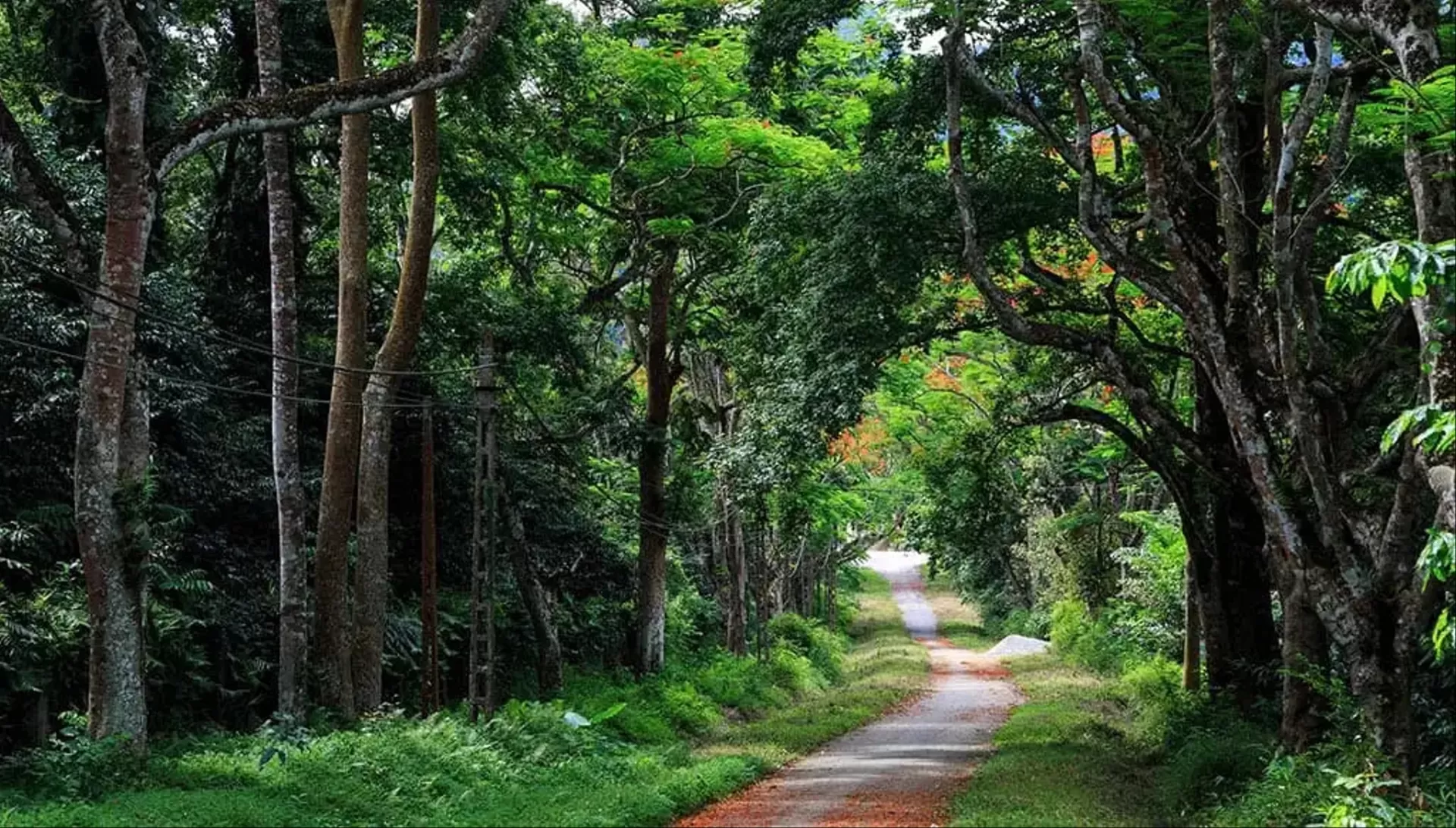 HANOI JEEP TOUR BA VI NATIONAL PARK - DUONG LAM ANCIENT VILLAGE  1 DAY