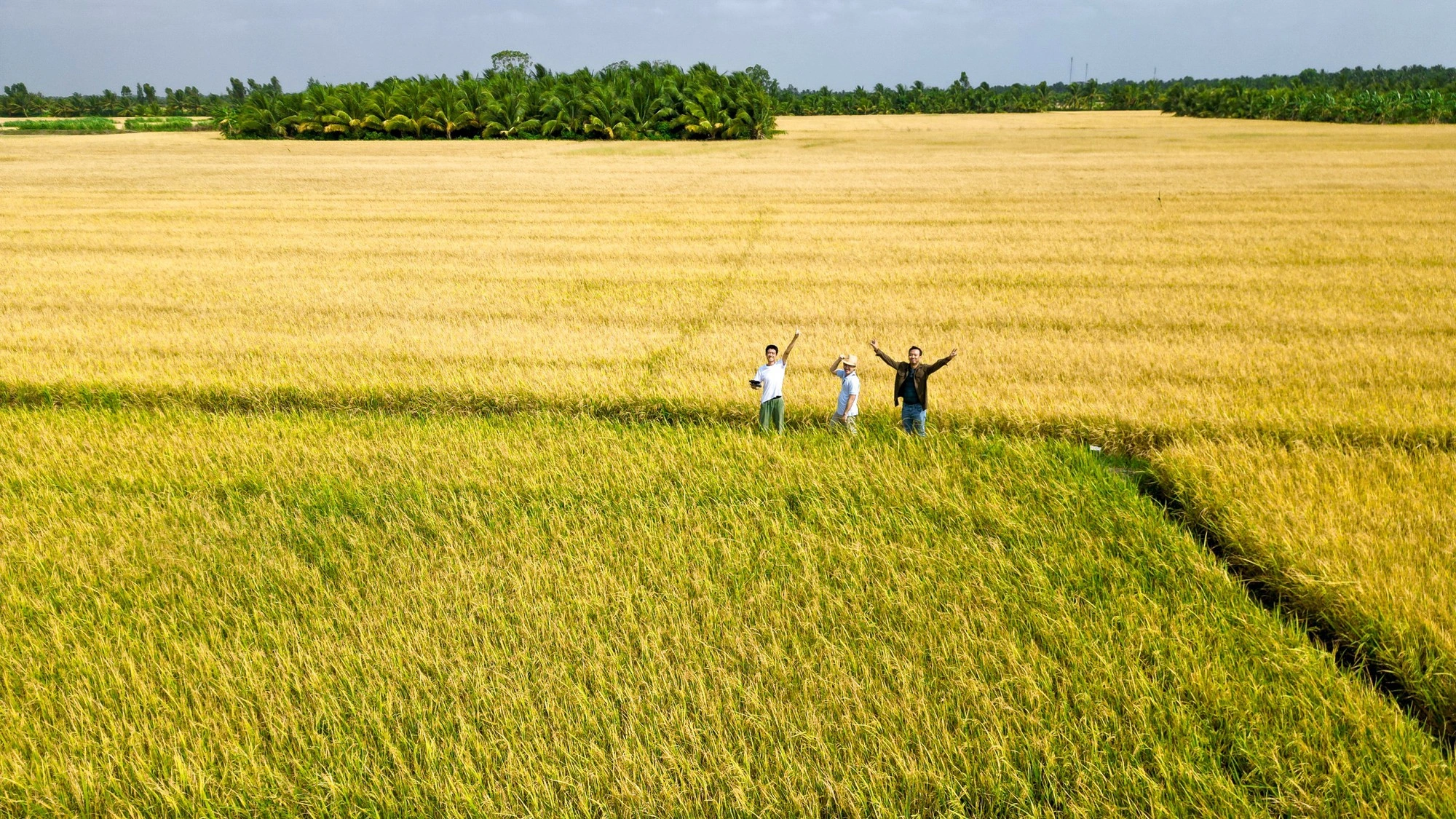 HANOI JEEP COUNTRYSIDE TOUR - CO LOA CITEADEL