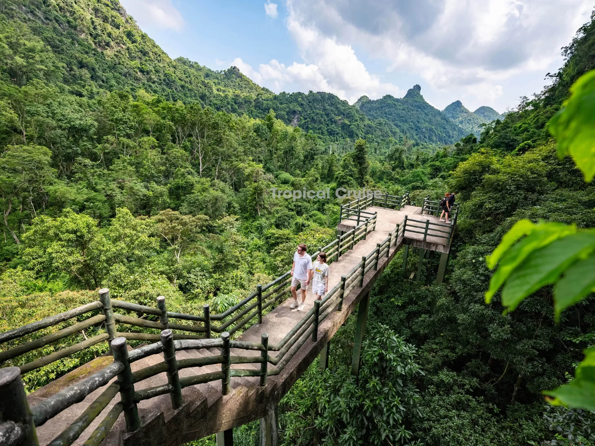 LAN HA BAY - CAT BA ISLAND 1 DAY TOUR WITH 5* CRUISE