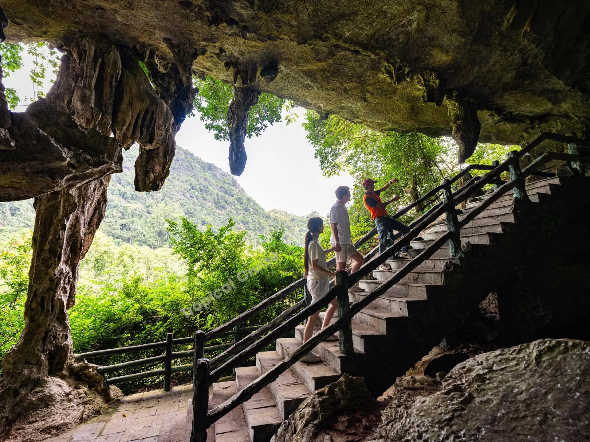 LAN HA BAY - CAT BA ISLAND 1 DAY TOUR WITH 5* CRUISE