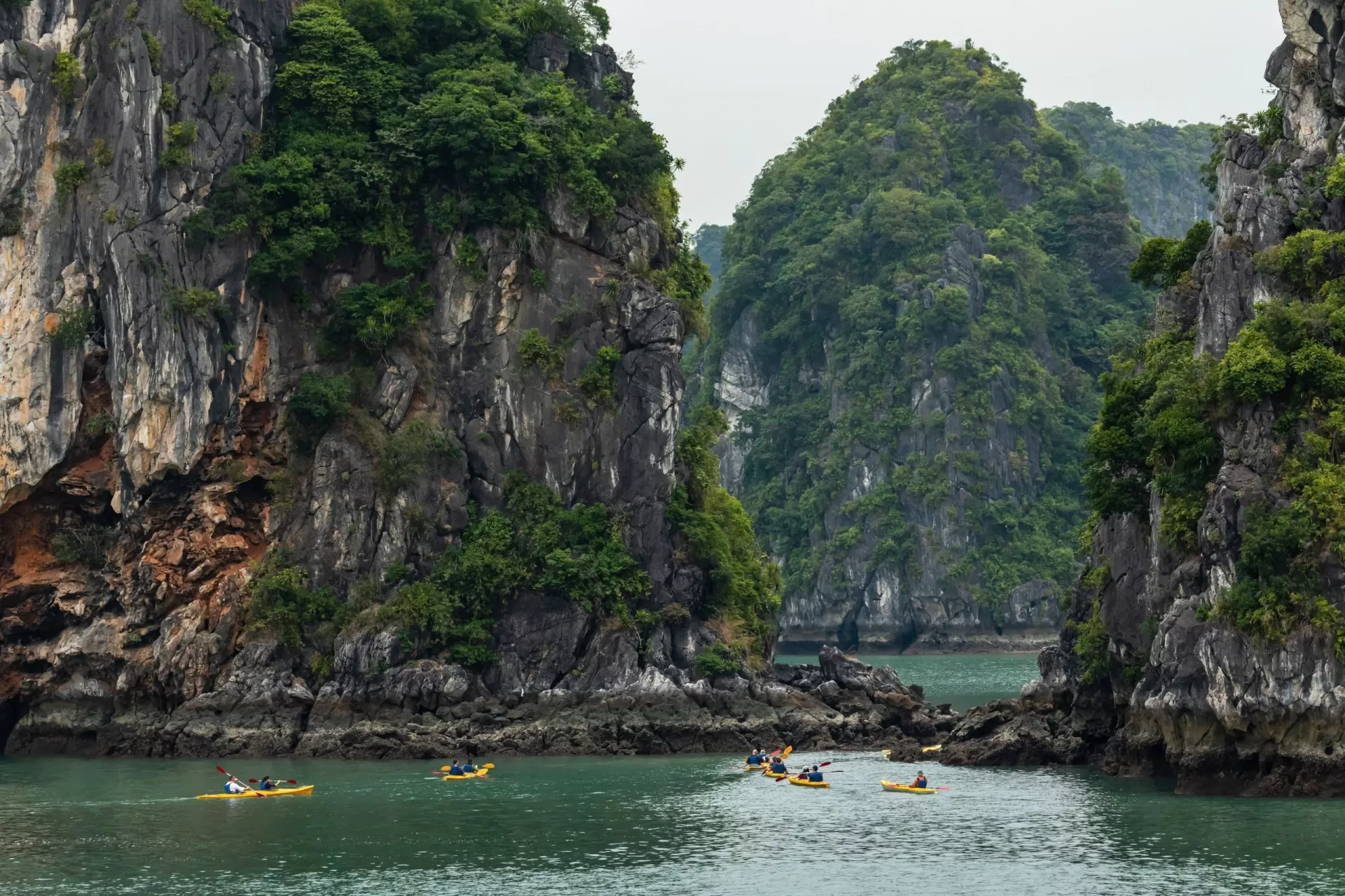 LAN HA BAY - CAT BA ISLAND 1 DAY TOUR WITH 5* CRUISE