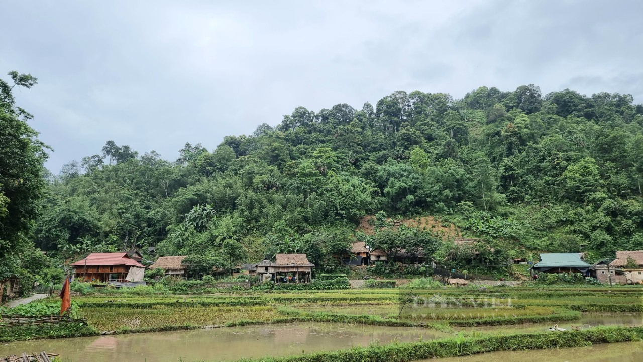 MAI CHÂU - PU LƯƠNG - NINH BÌNH DU LỊCH 3 NGÀY 2 ĐÊM TỪ HÀ NỘI/NINH BÌNH