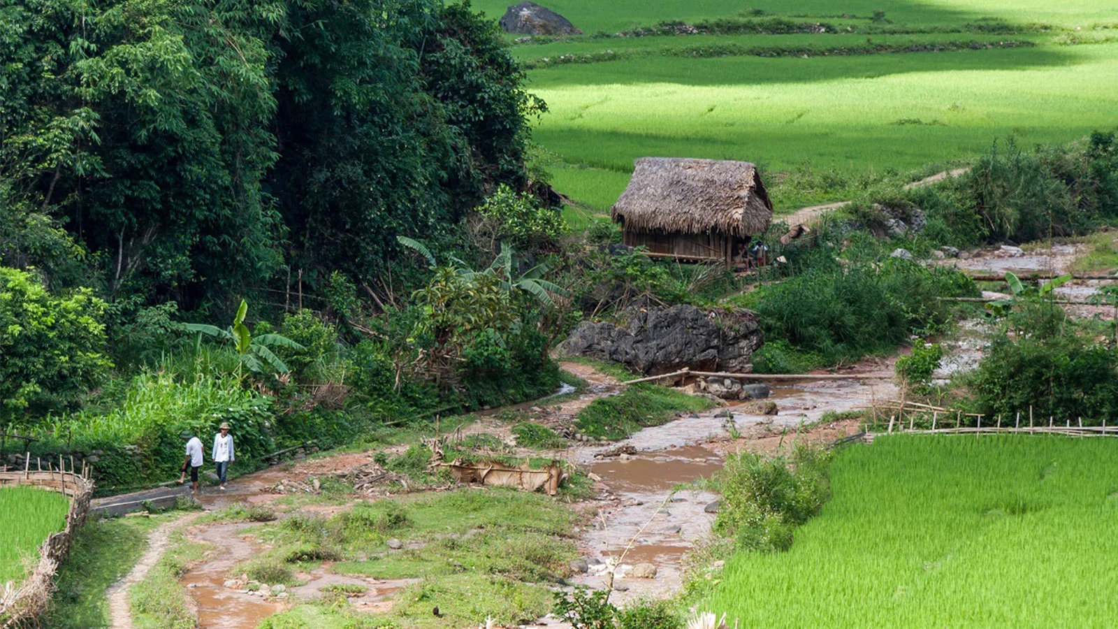 TOUR TREKKING PÙ LƯƠNG – TOUR CHIỀU TỪ PÙ LƯƠNG