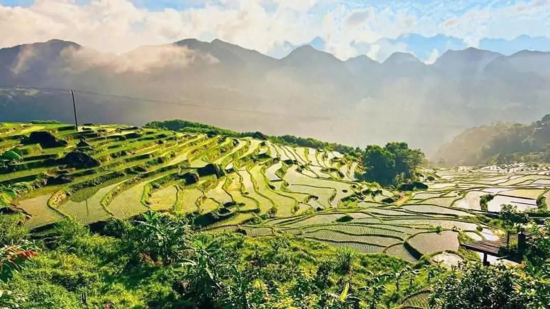 MAI CHAU - PU LUONG - NINH BINH 5 DAYS 4 NIGHTS TRIP FROM HANOI/NINH BINH