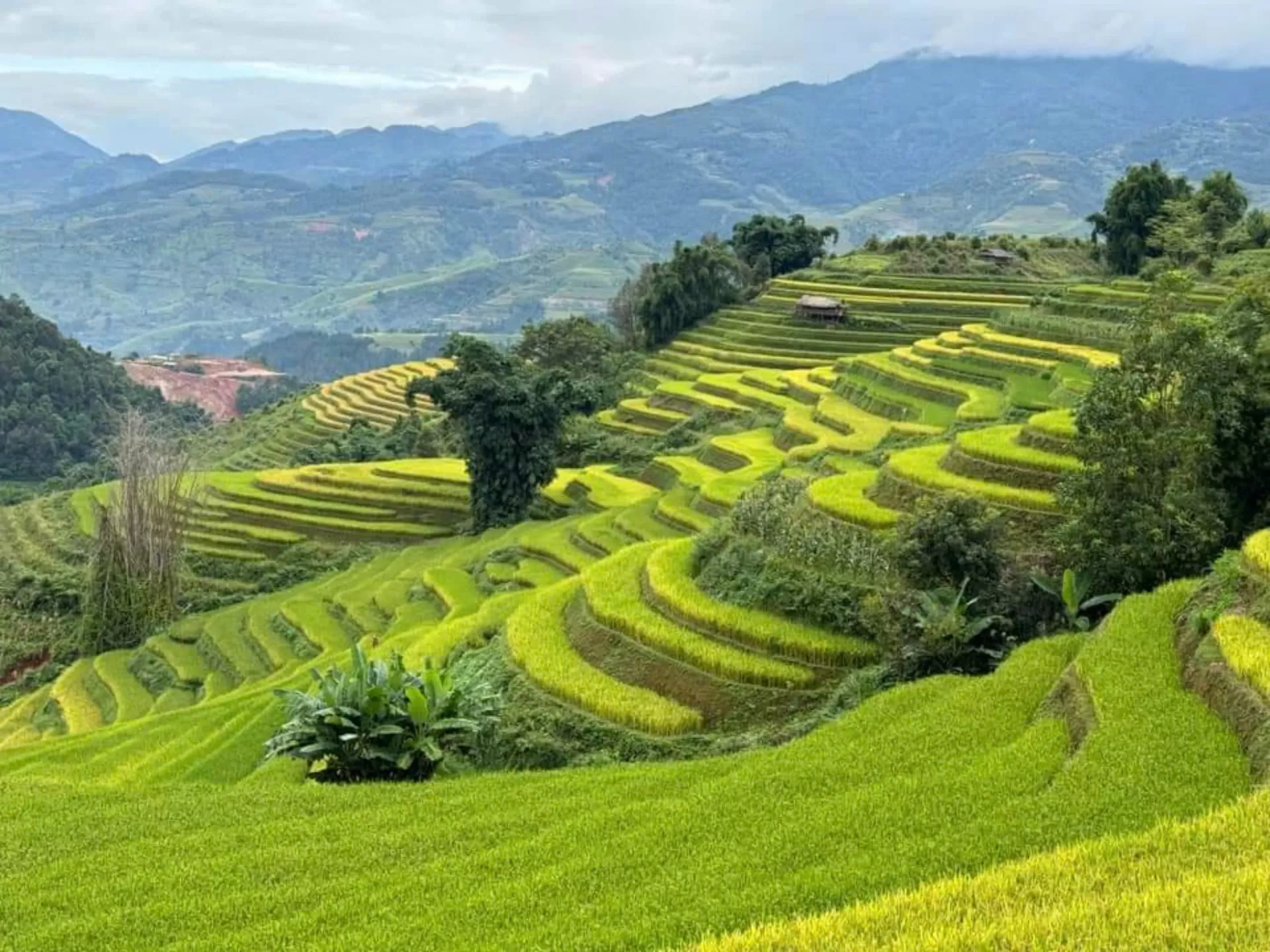 MU CANG CHAI 2 DAYS 3 NIGHTS - OVERNIGHT IN HOMESTAY