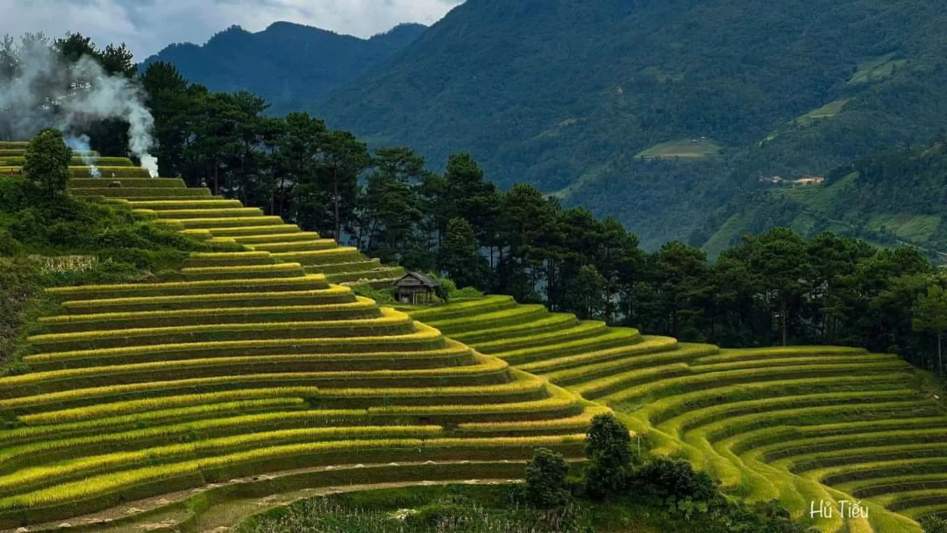 MU CANG CHAI 2 DAYS 3 NIGHTS - OVERNIGHT IN HOMESTAY