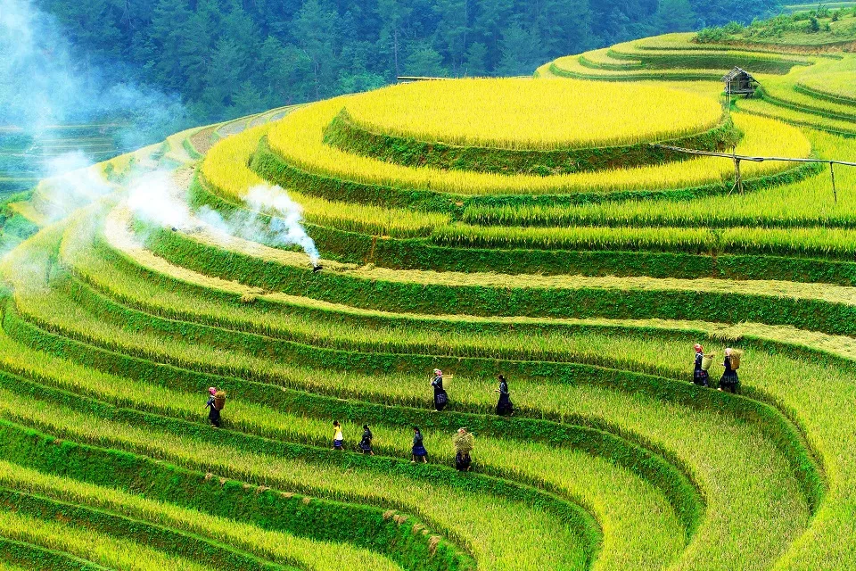 MU CANG CHAI 2 DAYS 3 NIGHTS - OVERNIGHT IN HOMESTAY