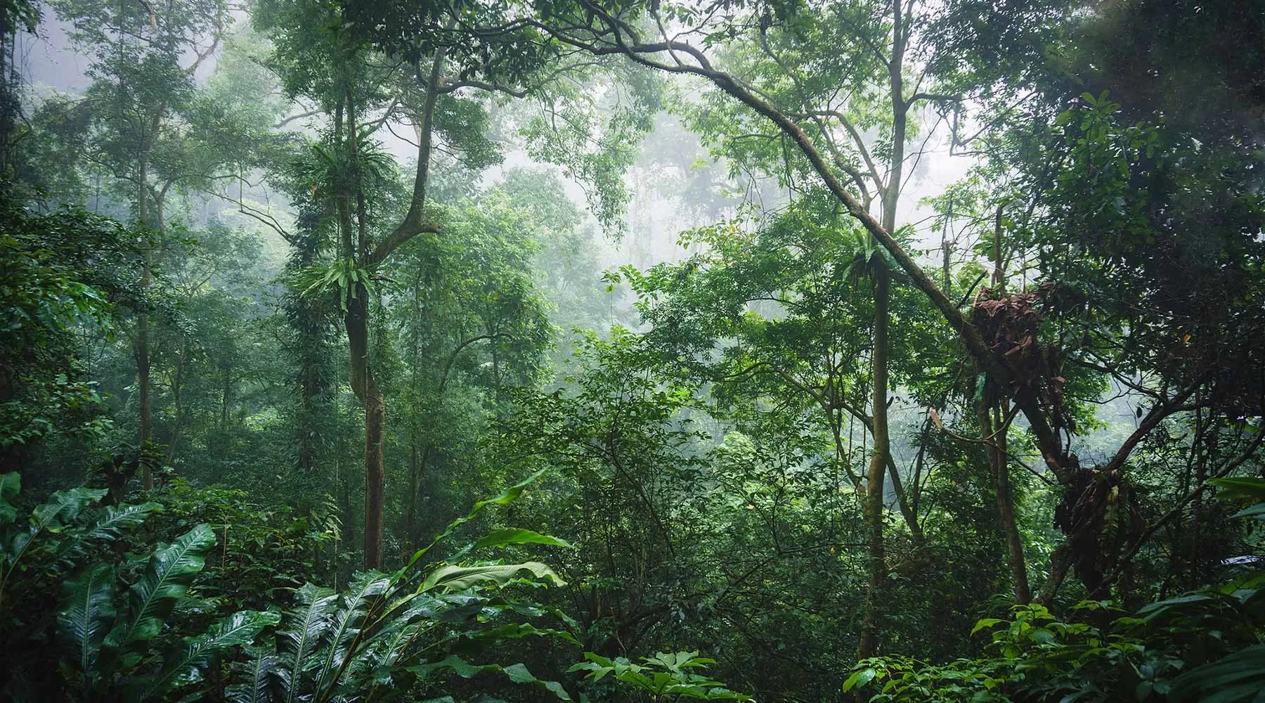 VAN LONG WETLAND RESERVE - CUC PHUONG NATIONAL PARK - 1 DAY TRIP