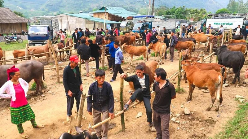 BAC HA MARKET 1 DAY TOUR FROM SAPA