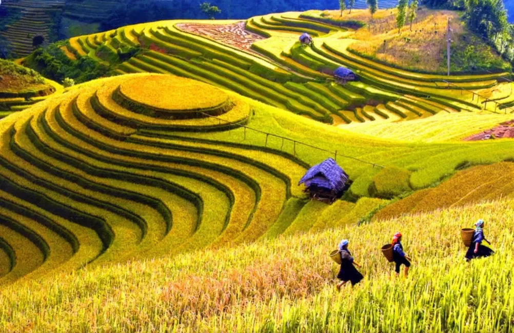 SAPA 3 DAYS 2NIGHTS FANSIPAN PEAK - HOTEL OVERNIGHT
