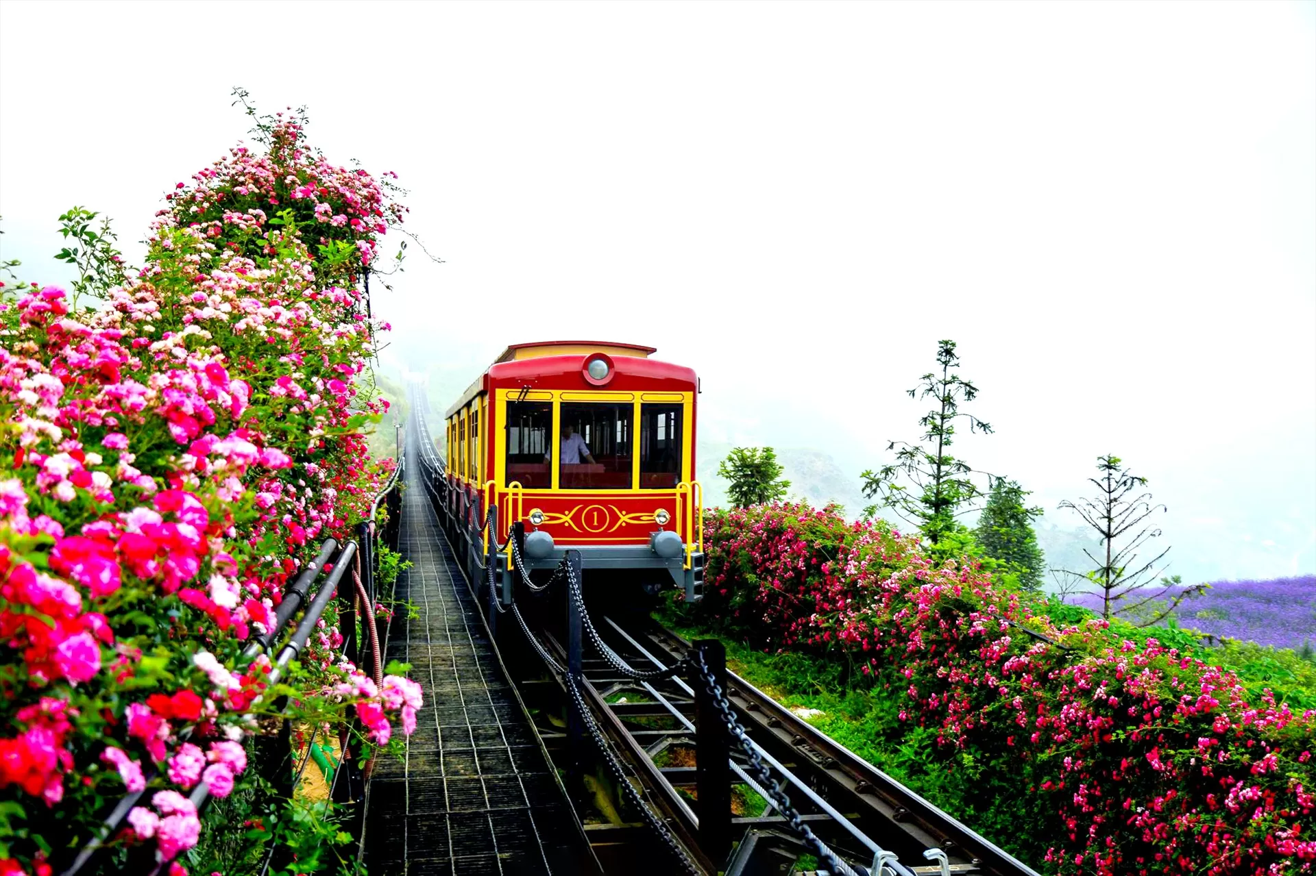 FANSIPAN PEAK HALF-DAY TOUR FROM SAPA