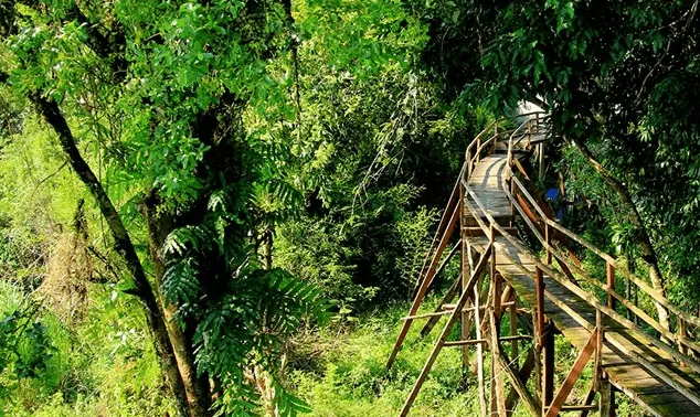 CAT TIEN NATIONAL PARK FULL-DAY TOUR FROM HO CHI MINH CITY