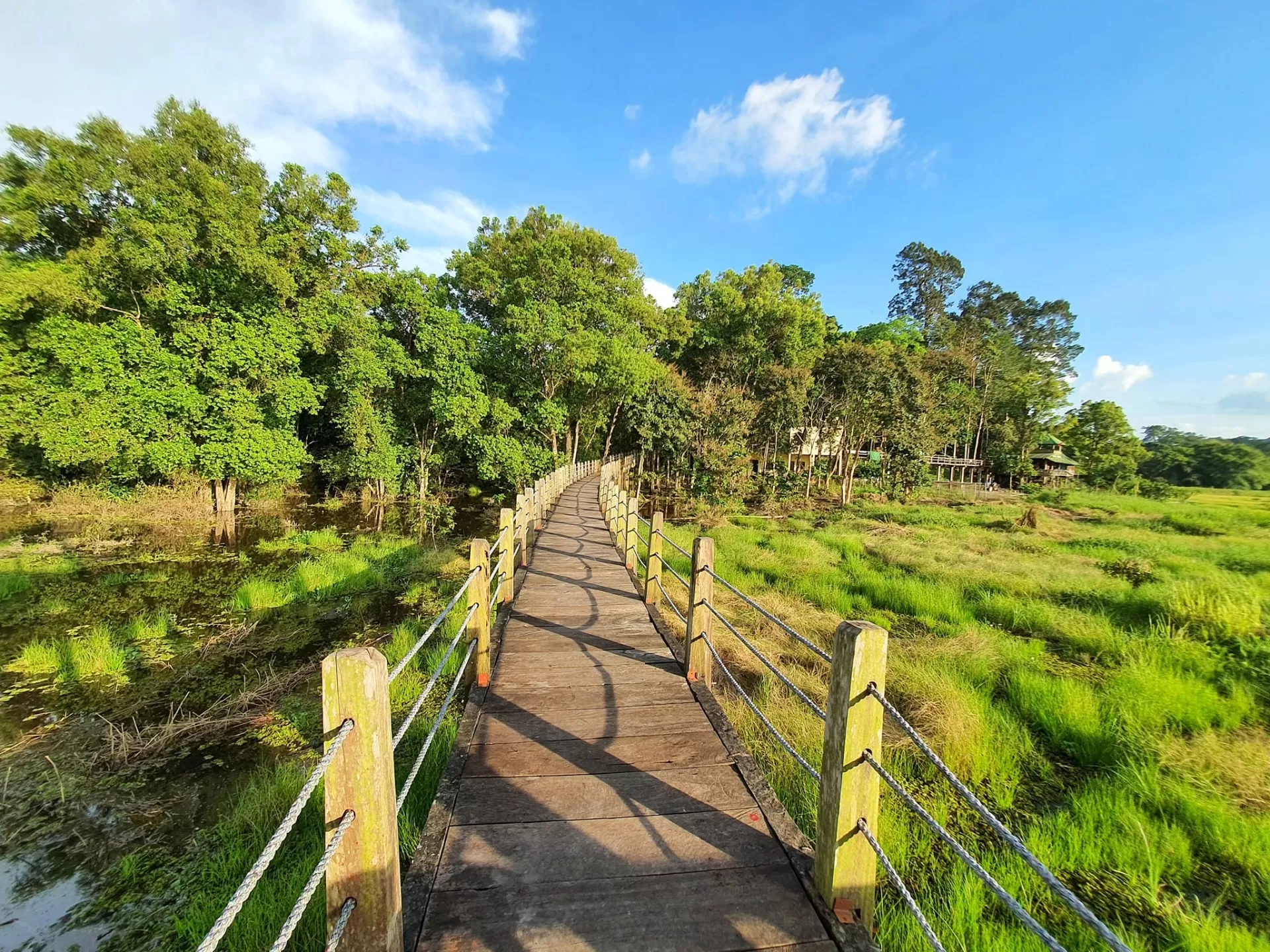 CAT TIEN NATIONAL PARK FULL-DAY TOUR FROM HO CHI MINH CITY
