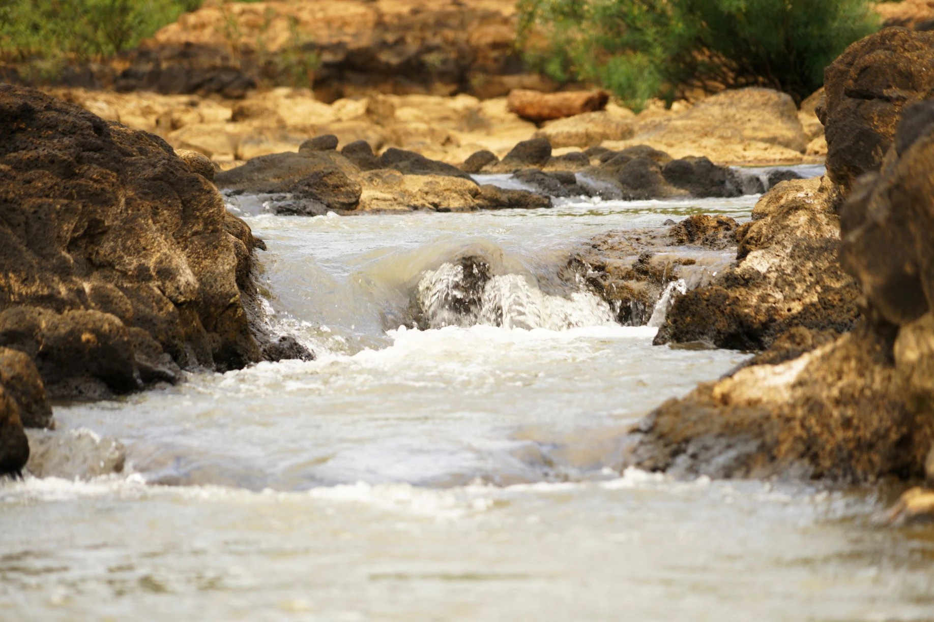 CAT TIEN NATIONAL PARK FULL-DAY TOUR FROM HO CHI MINH CITY