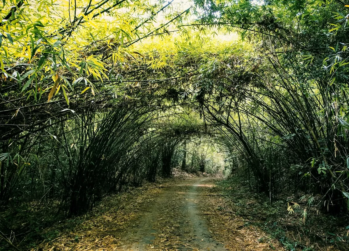 CAT TIEN NATIONAL PARK FULL-DAY TOUR FROM HO CHI MINH CITY