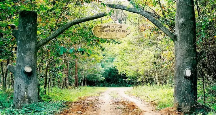 CAT TIEN NATIONAL PARK FULL-DAY TOUR FROM HO CHI MINH CITY
