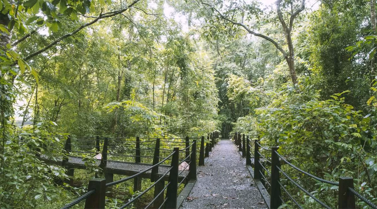 CAT TIEN NATIONAL PARK FULL-DAY TOUR FROM HO CHI MINH CITY