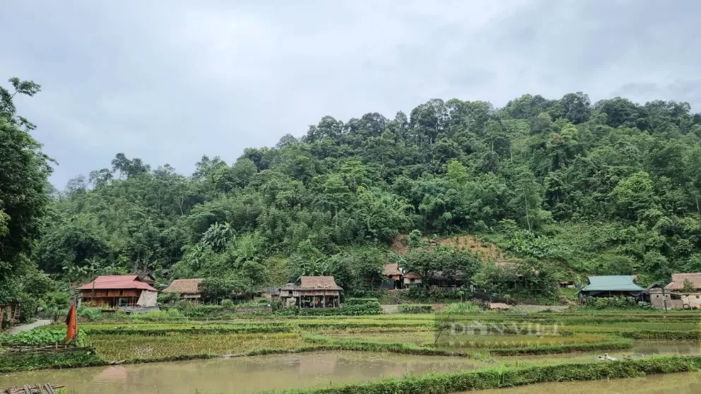 TOUR TREKKING Pù Luông 2N1Đ