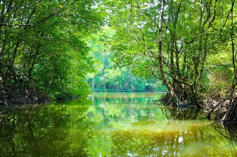 CAN GIO - MONKEY ISLAND FULL-DAY TOUR