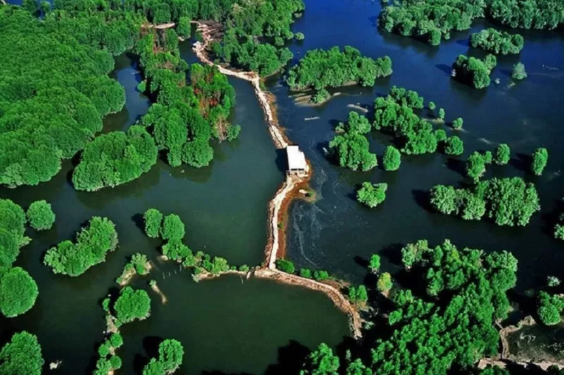 CAN GIO - MONKEY ISLAND FULL-DAY TOUR