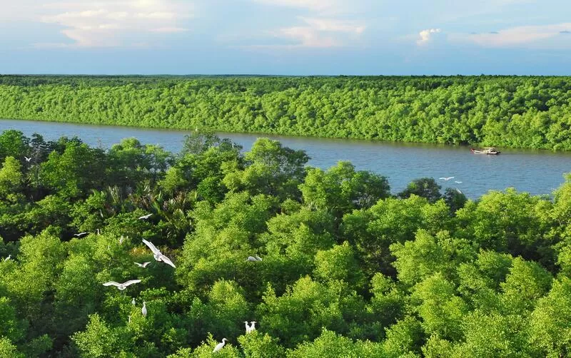 CAN GIO - MONKEY ISLAND FULL-DAY TOUR