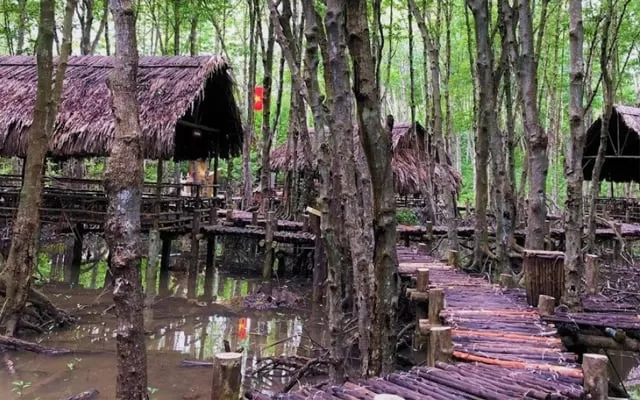 CAN GIO - MONKEY ISLAND FULL-DAY TOUR