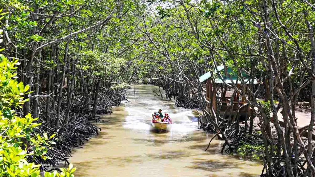 CAN GIO - MONKEY ISLAND FULL-DAY TOUR